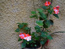DSCN8775