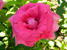 DSCN8859