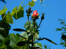 DSCN8869