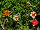 DSCN8877