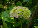 DSCN8879