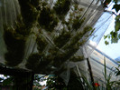 DSCN8896