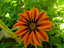 DSCN8922