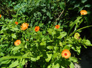 DSCN8926