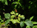 DSCN8931