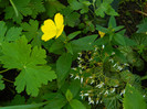 DSCN8932