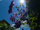 DSCN8937