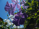 DSCN8940