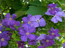 DSCN9017
