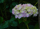 DSCN9023