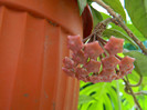 DSCN9058