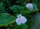 DSCN9027