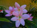 DSCN9048