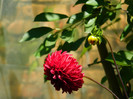 DSCN9054