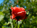 DSCN9055