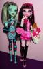 mh dm dolls