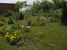DSCN5421