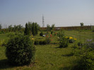 DSCN5425