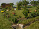 DSCN5427