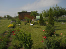 DSCN5428