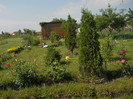 DSCN5429