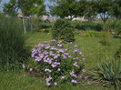 DSCN5432