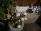 DSCN5434
