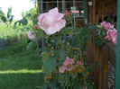 DSCN5436