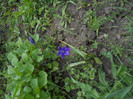 DSCN5441