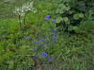 DSCN5442