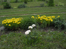 DSCN5448