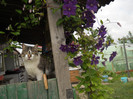 DSCN5461