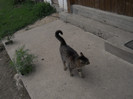 DSCN5462