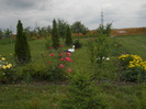 DSCN5467