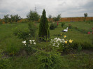 DSCN5468