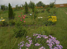 DSCN5470