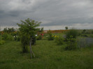 DSCN5477