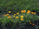 DSCN5480