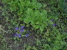 DSCN5505