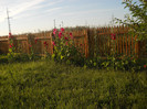 DSCN5518