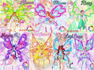 winx-flyrix-the-winx-club-30864094-800-600