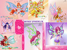 winx-sparklix-the-winx-club-30864082-934-700