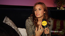 Demi on the Jonas Brothers Tour 2796