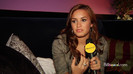 Demi on the Jonas Brothers Tour 2810