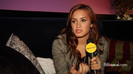 Demi on the Jonas Brothers Tour 2813