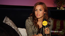 Demi on the Jonas Brothers Tour 2821