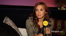 Demi on the Jonas Brothers Tour 2824