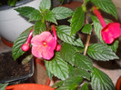 DSCN2880