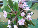 DSCN2883