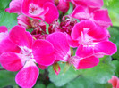 DSCN2894
